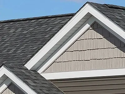 Shingles Image